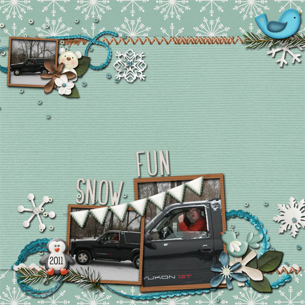 Snow Fun