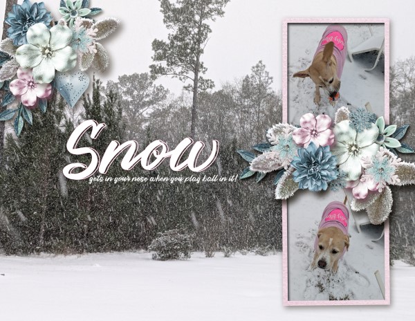 Snow Gets In Your Nose