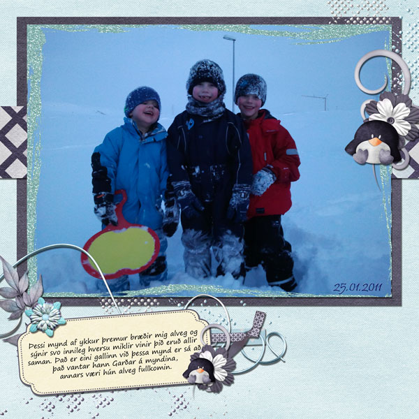 Snow guys