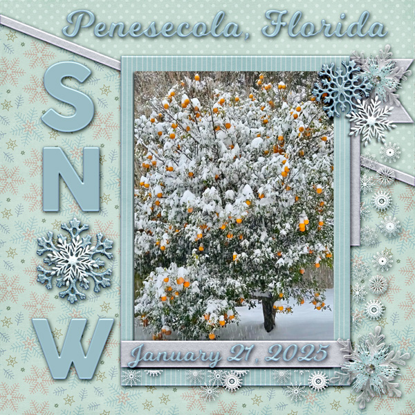 Snow in Florida?