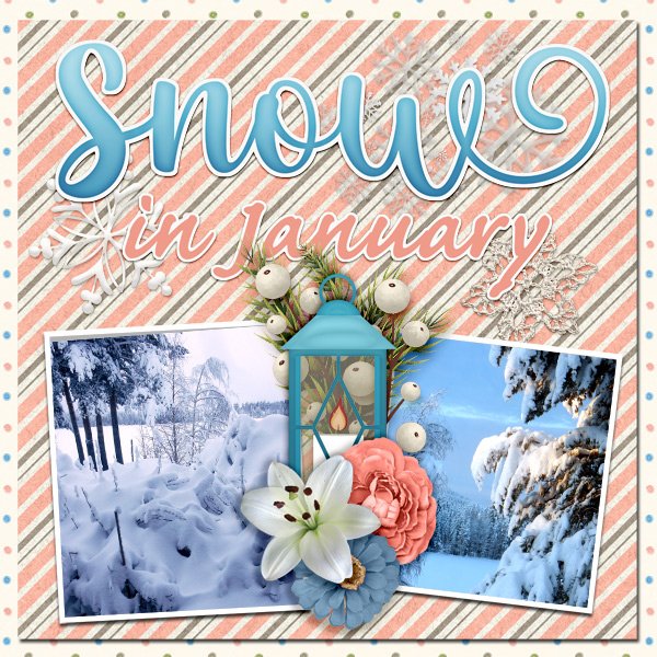 Snow-in-January.jpg