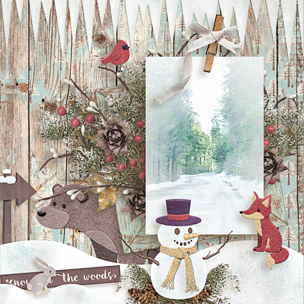Snow in the Woods