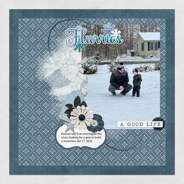 Snow Investigation