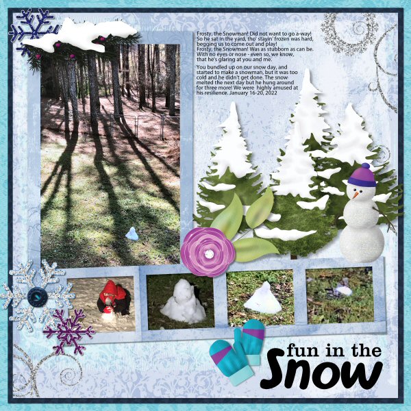 Snow Jan 2022