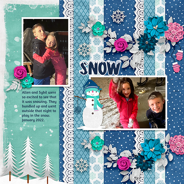 Snow Jan 2022