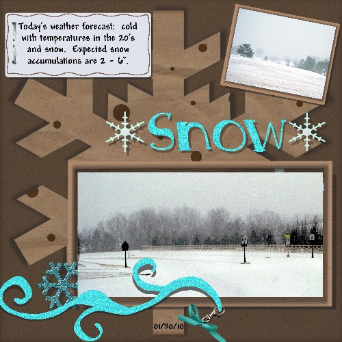 Snow January 30, 2010