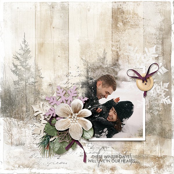 Snow-Kissed Memories