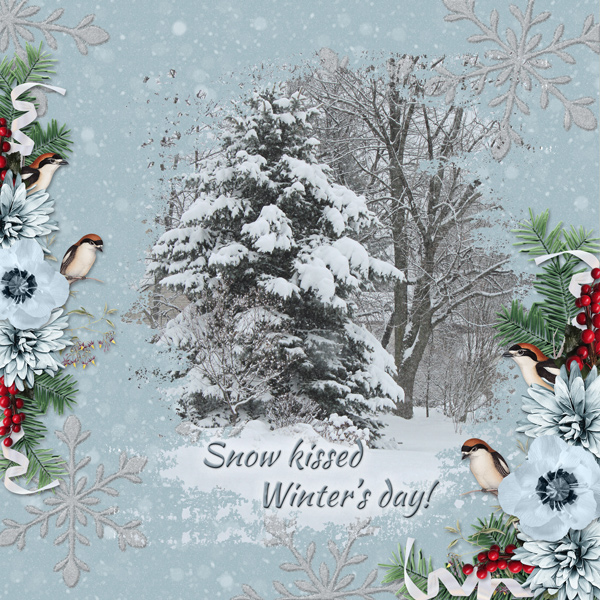 Snow kissed winter