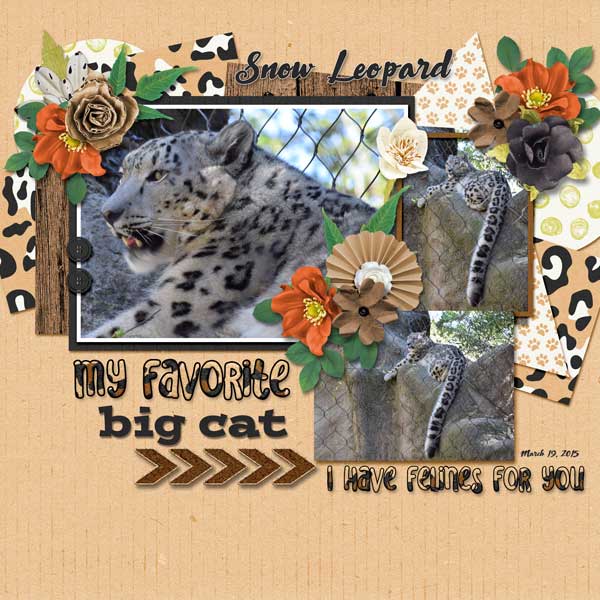 Snow leopard