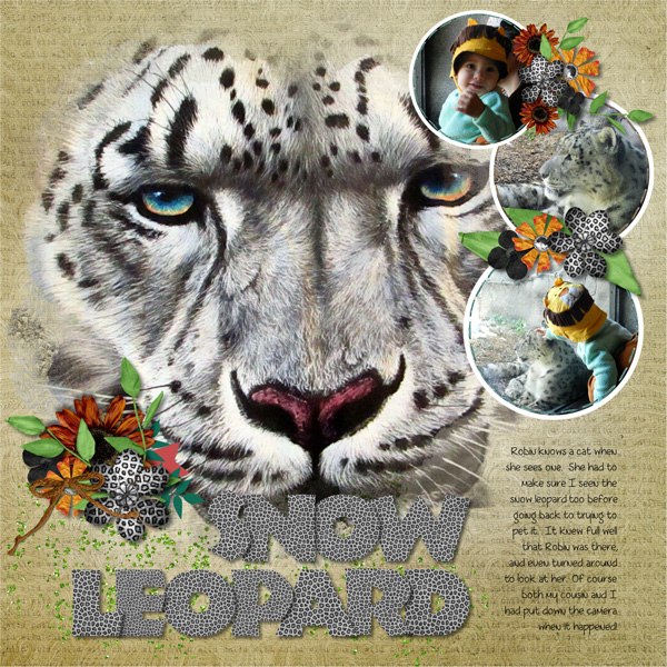 Snow Leopard