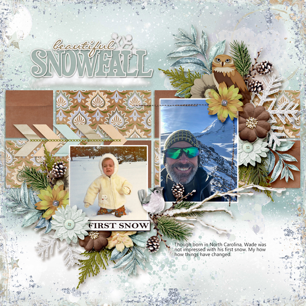 Snow Lover