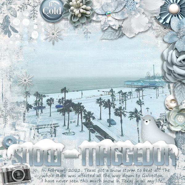 Snow-maggedon