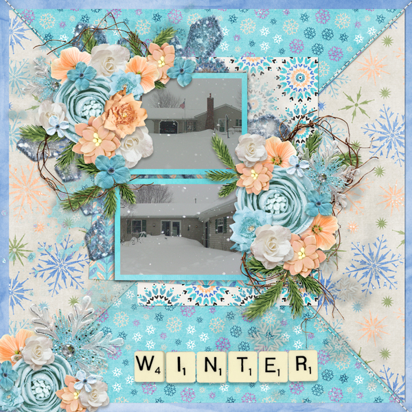 Snow Much Fun-CarolW