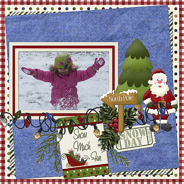 Snow Much Fun