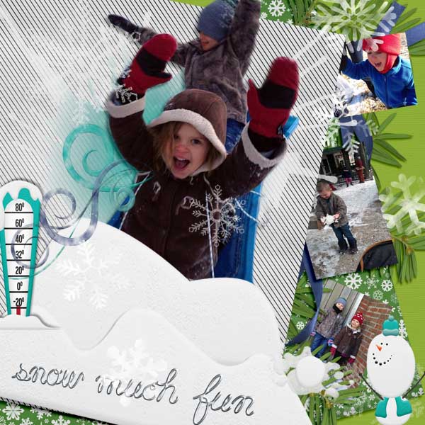 Snow Much Fun