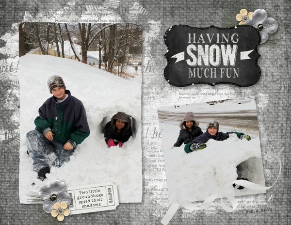 Snow Much Fun
