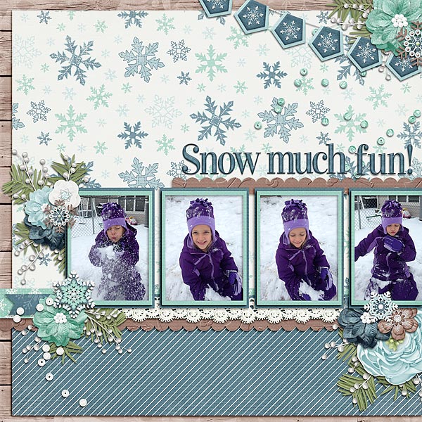 Snow Much Fun