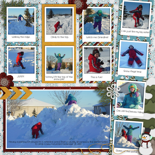 Snow Much Fun