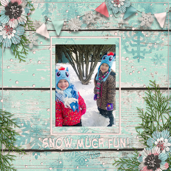 Snow Much Fun