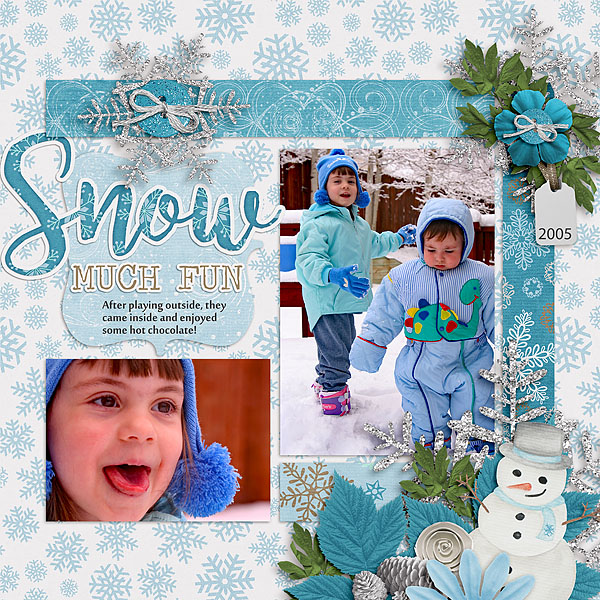 Snow Much Fun