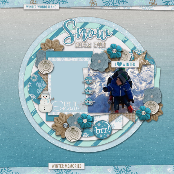 Snow Much Fun