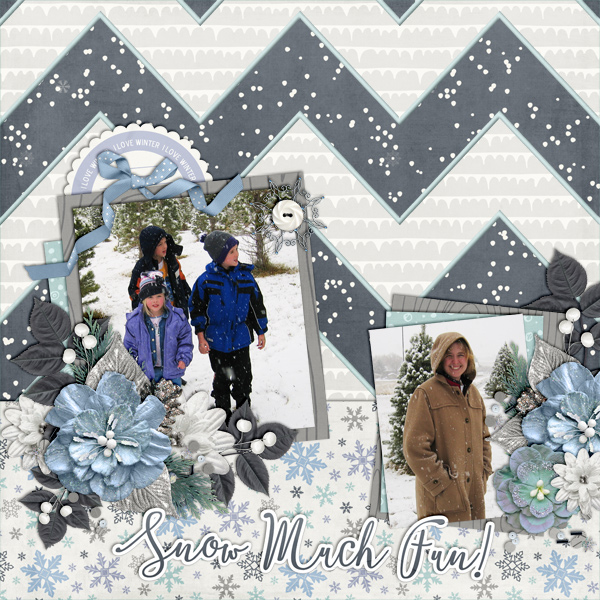 Snow Much Fun