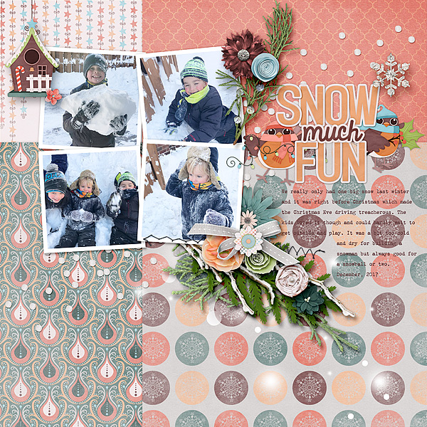 Snow Much Fun