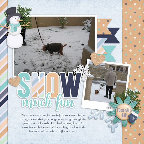 Snow Much Fun