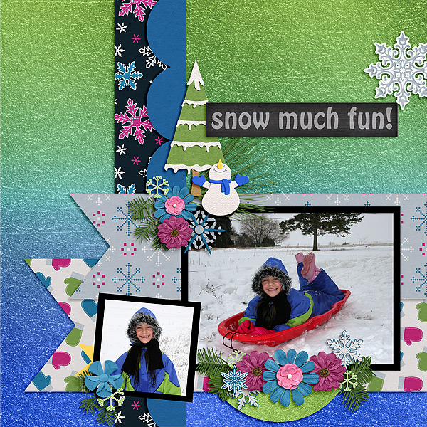 Snow Much Fun!