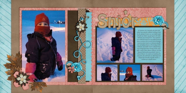 Snow much fun