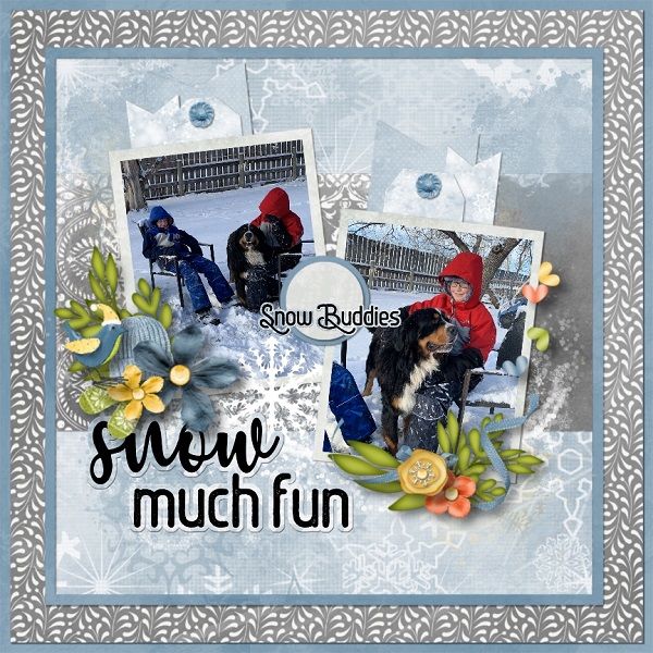Snow Much Fun