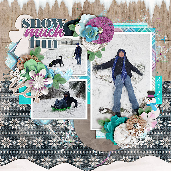 Snow Much Fun