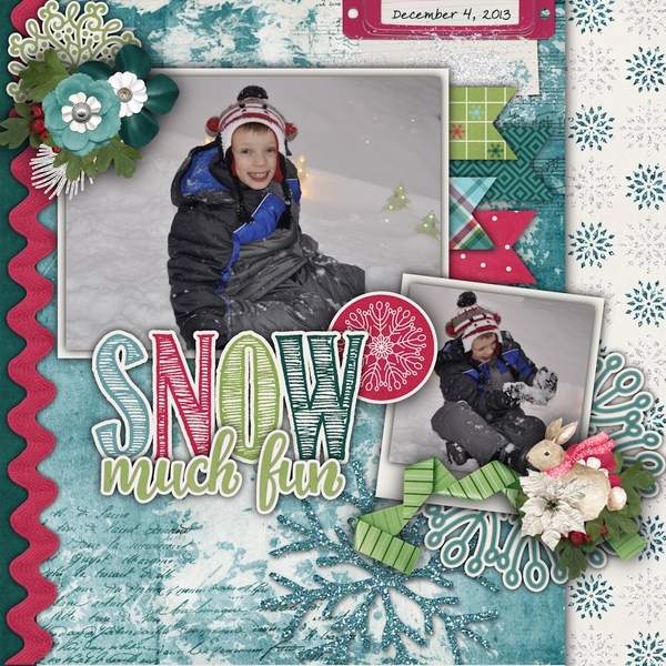 Snow Much Fun