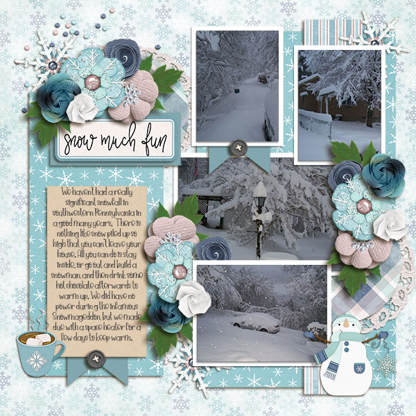 Snow Much Fun