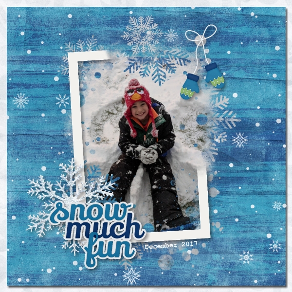 Snow Much Fun
