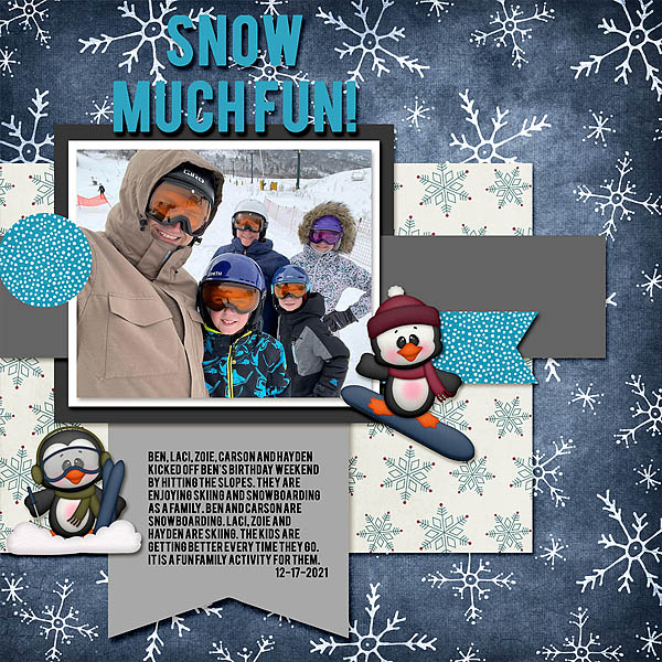 Snow Much Fun
