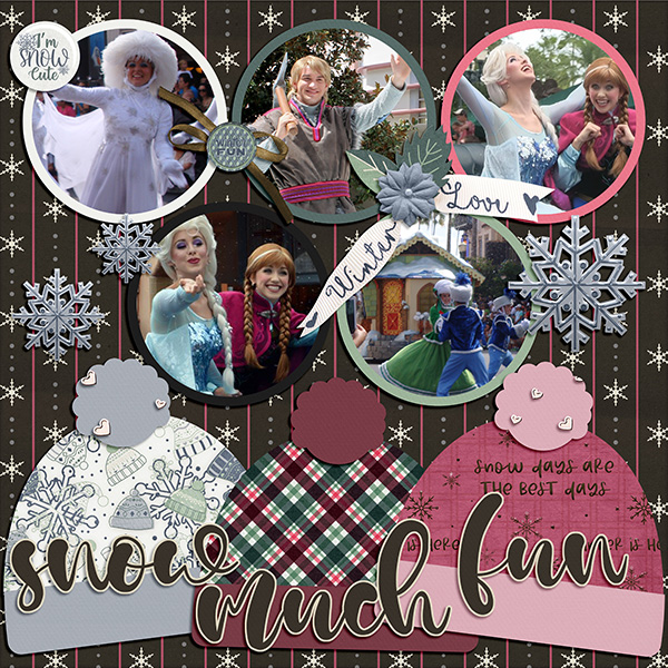 Snow Much Fun