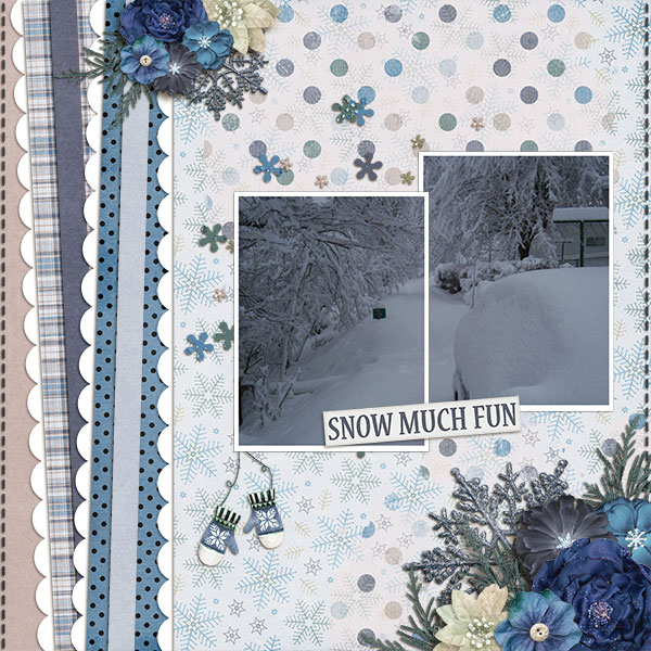 Snow Much Fun