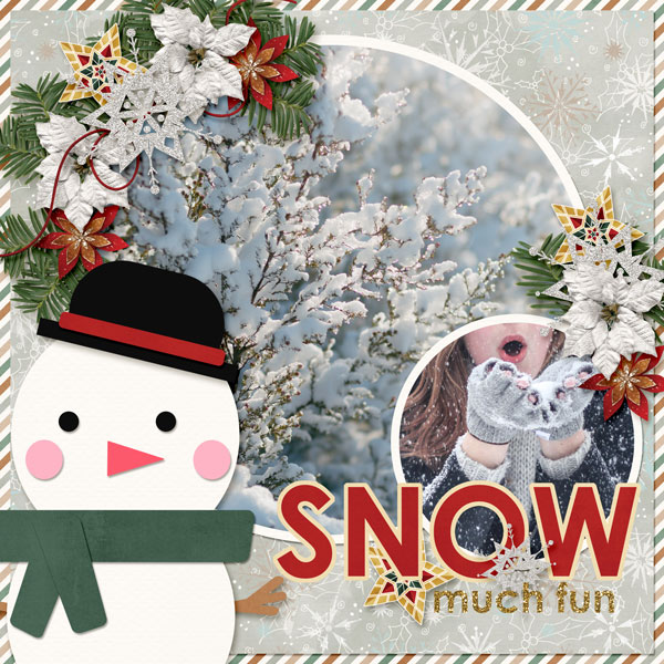 Snow Much Fun