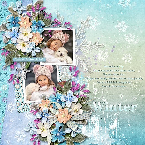 Snow Much Fun