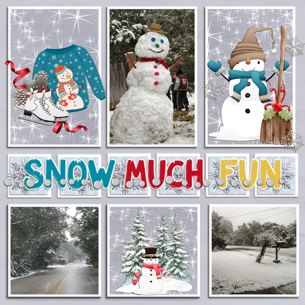 SNOW MUCH FUN