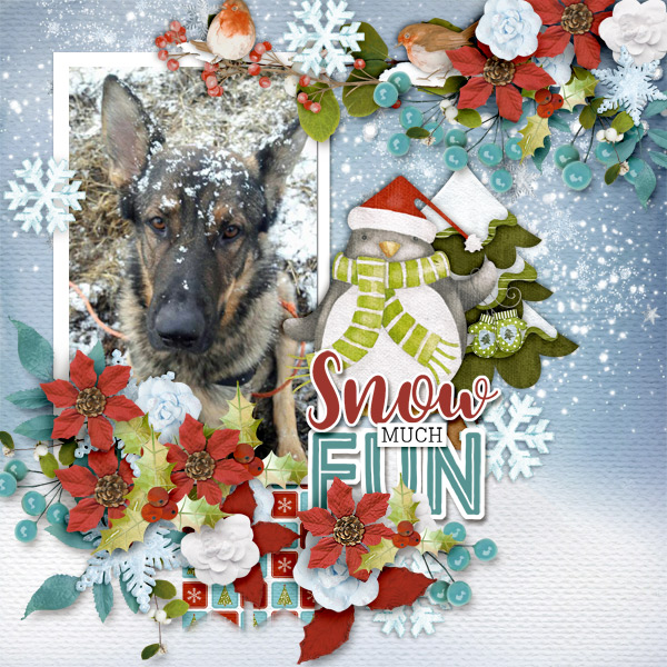 Snow-much-fun10