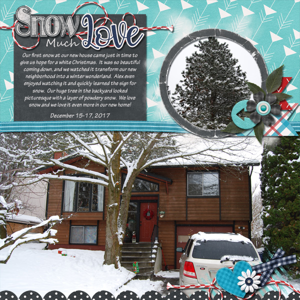 Snow Much Love