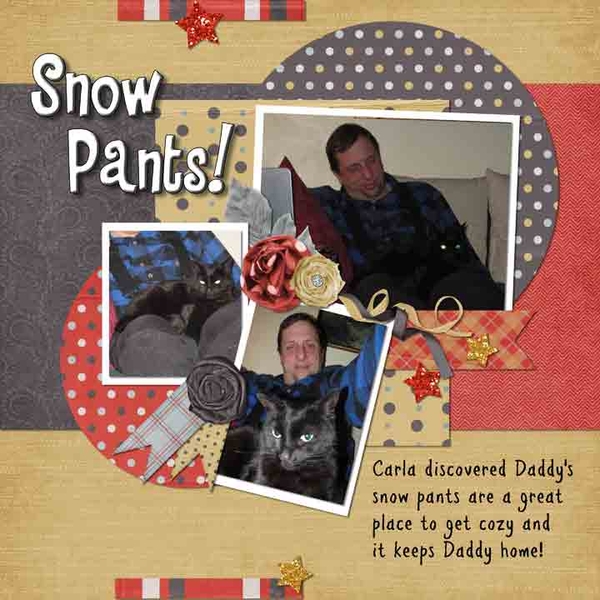 Snow Pants
