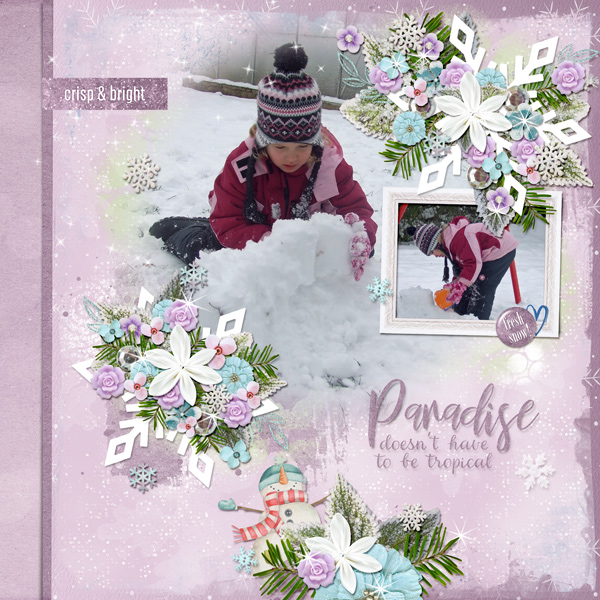 snow paradise