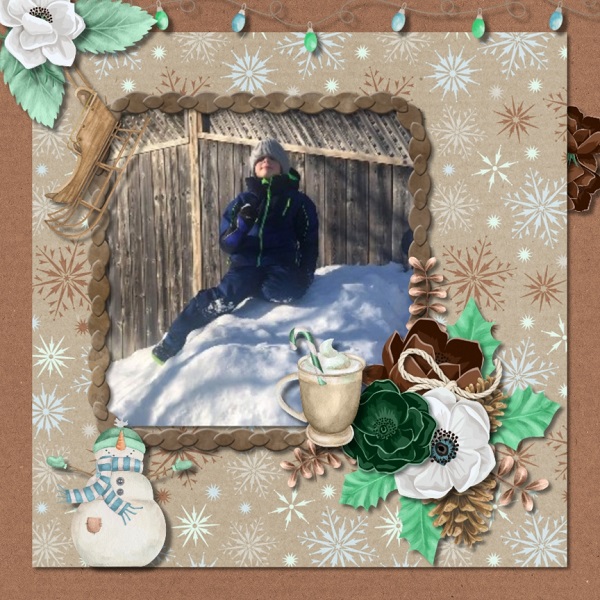 Snow Pile