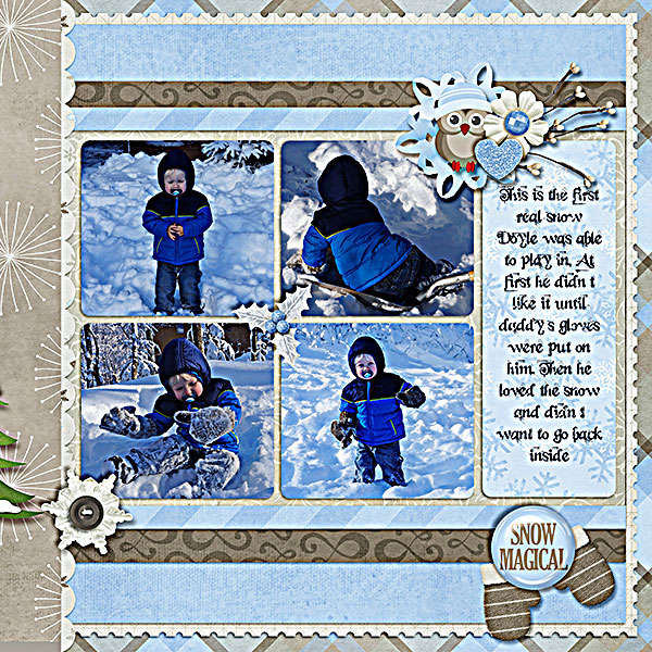 snow-playr