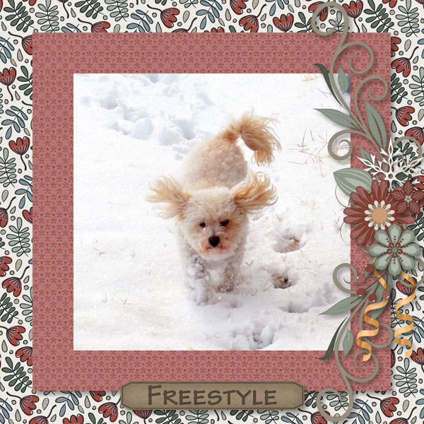 Snow Puppy