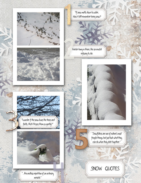 Snow Quotes