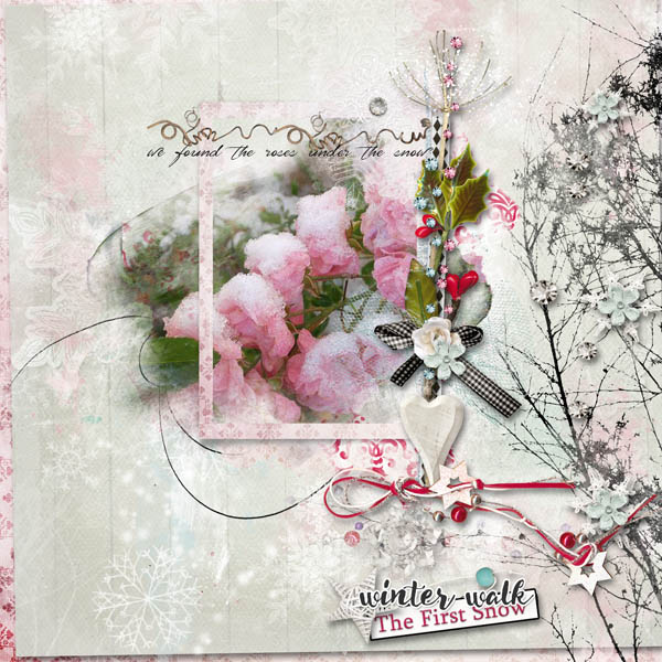 Snow Roses